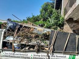 Best Hoarding Cleanup  in Bedford, IA